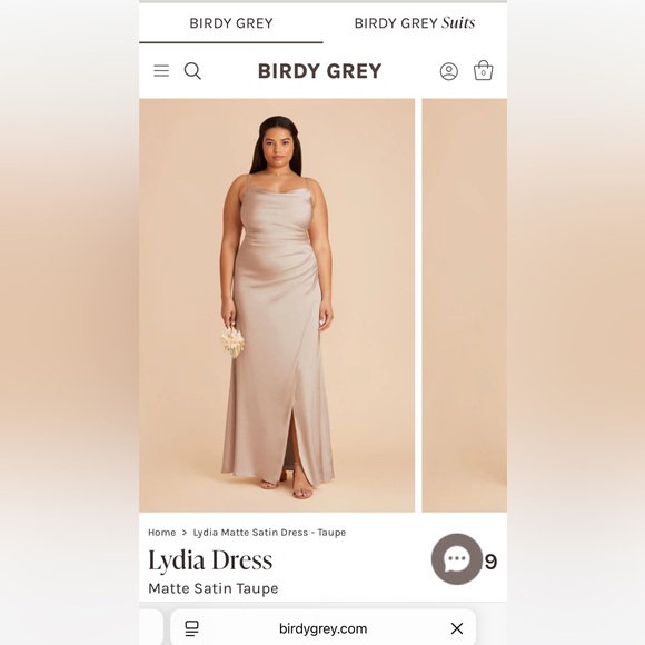 Birdy Grey Strapless Satin Dress - Taupe - Picture 1 of 2